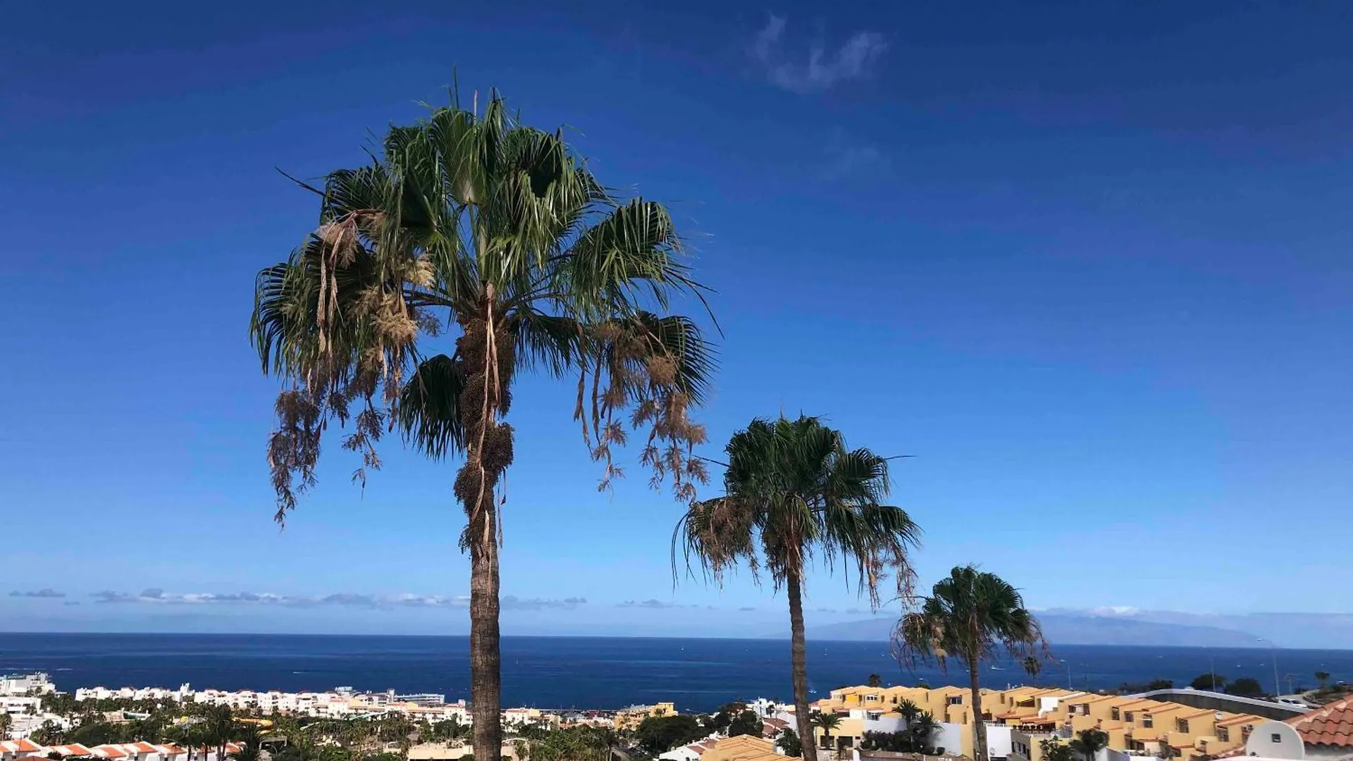 Lägenhet Paradise Suite - Costa Adeje